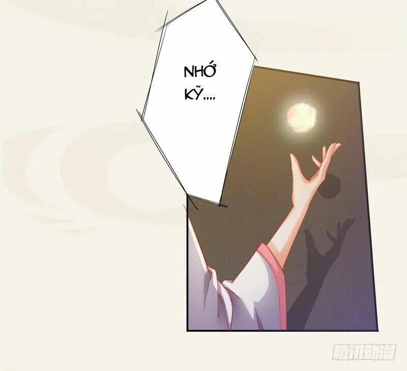 Tuyệt Thế Luyện Đan Sư: Chapter 9