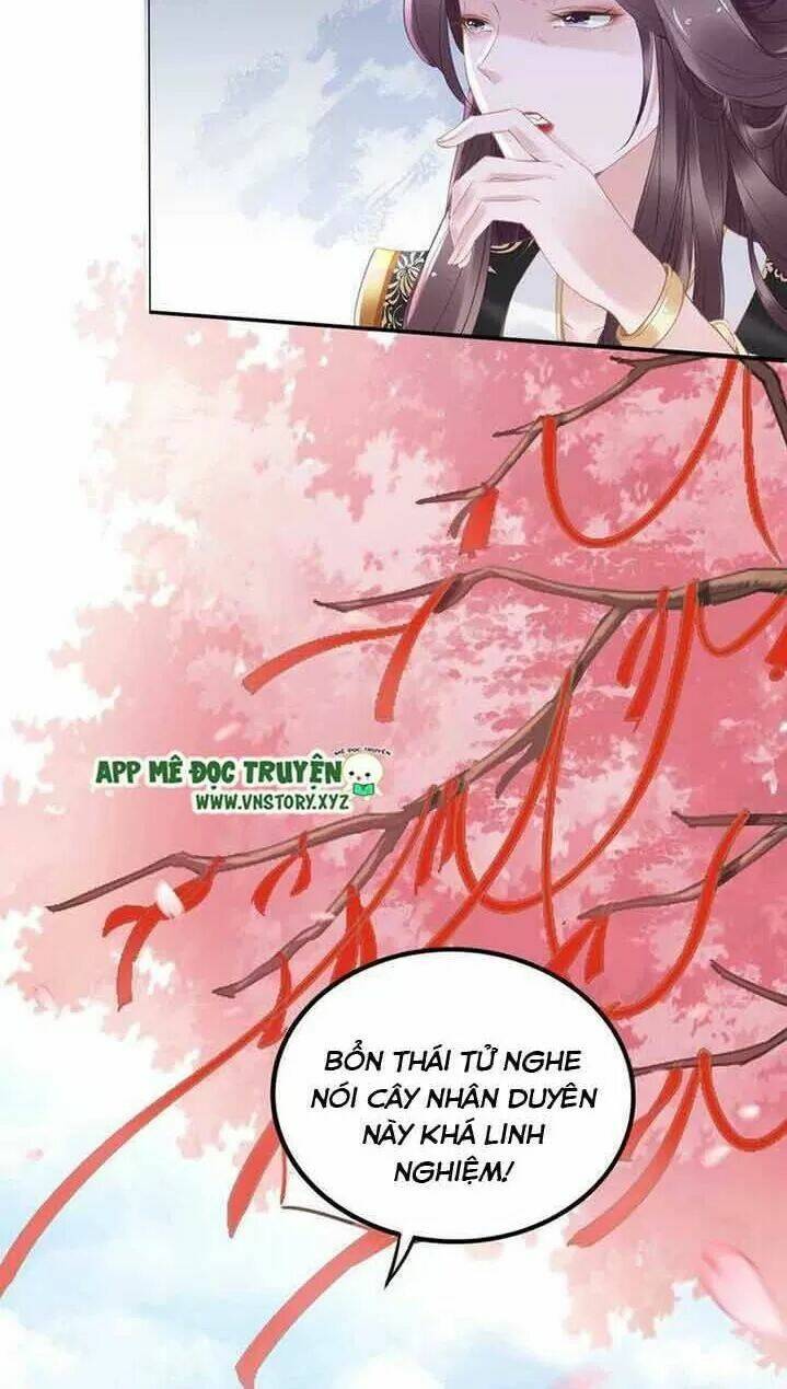 Nhất Sinh Nhất Thế Tiếu Thương Khung: Chapter 34