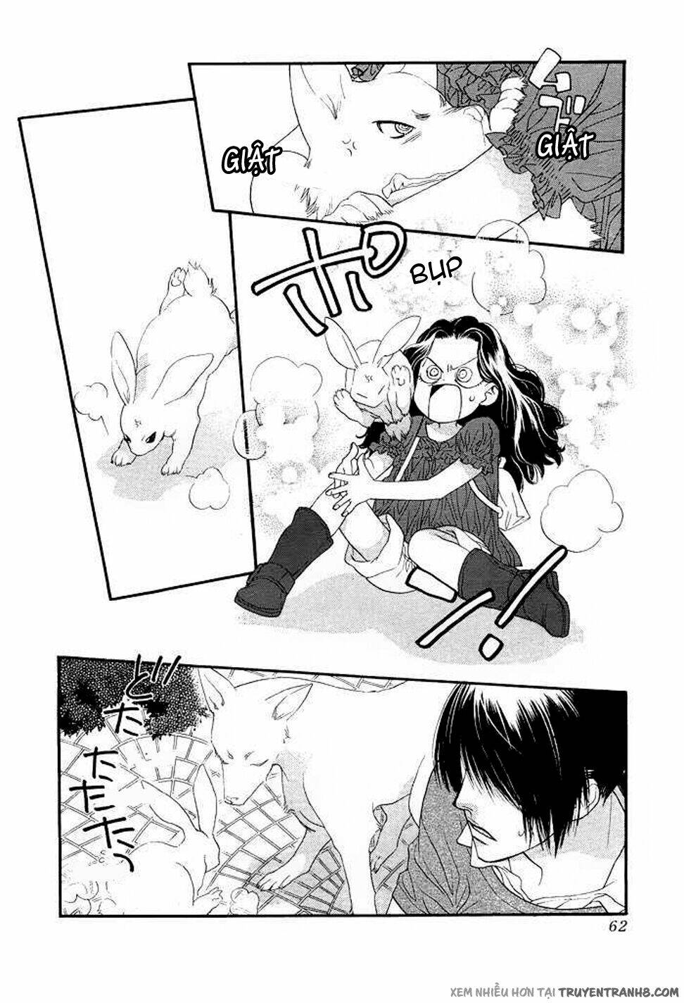 Orange Chocolate: Chapter 8