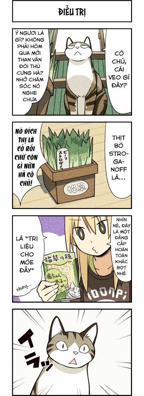 We Are Cat: Chapter 11