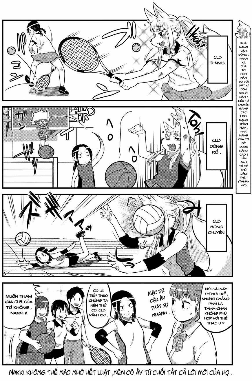 High School Inari Tamamo-Chan: Chapter 12