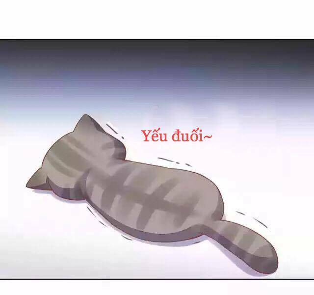 Dưới Móng Vuốt Mèo: Chapter 12