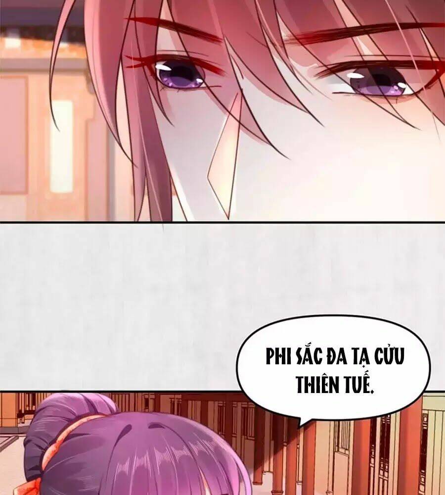 Hoạn Phi Hoàn Triều: Chapter 45