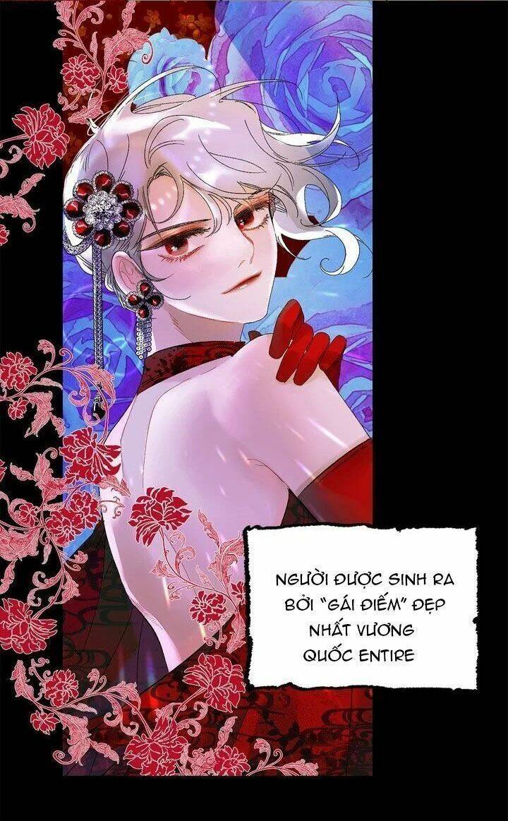 Tình Điên Dại: Chapter 37