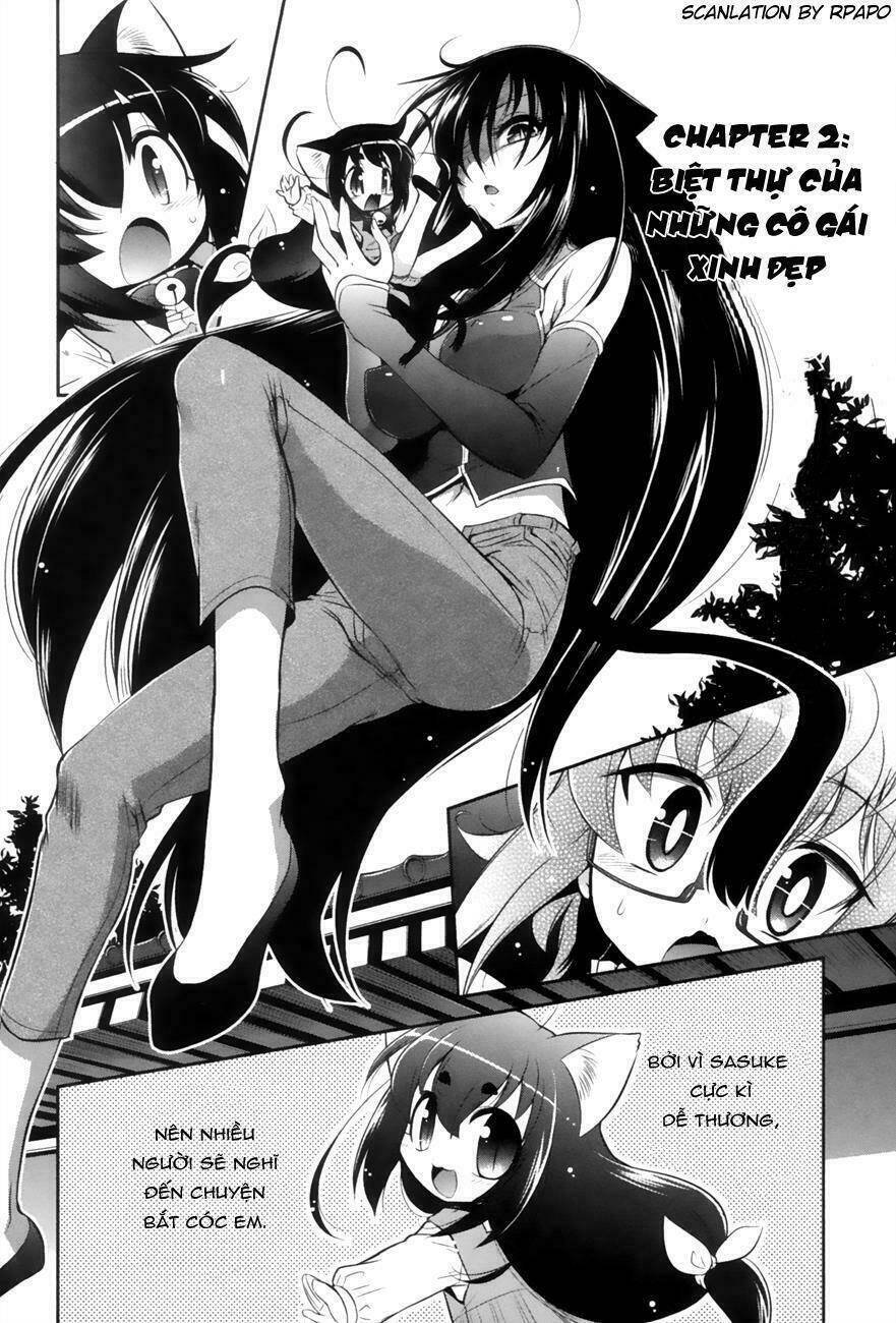 Bakeneko System: Chapter 2