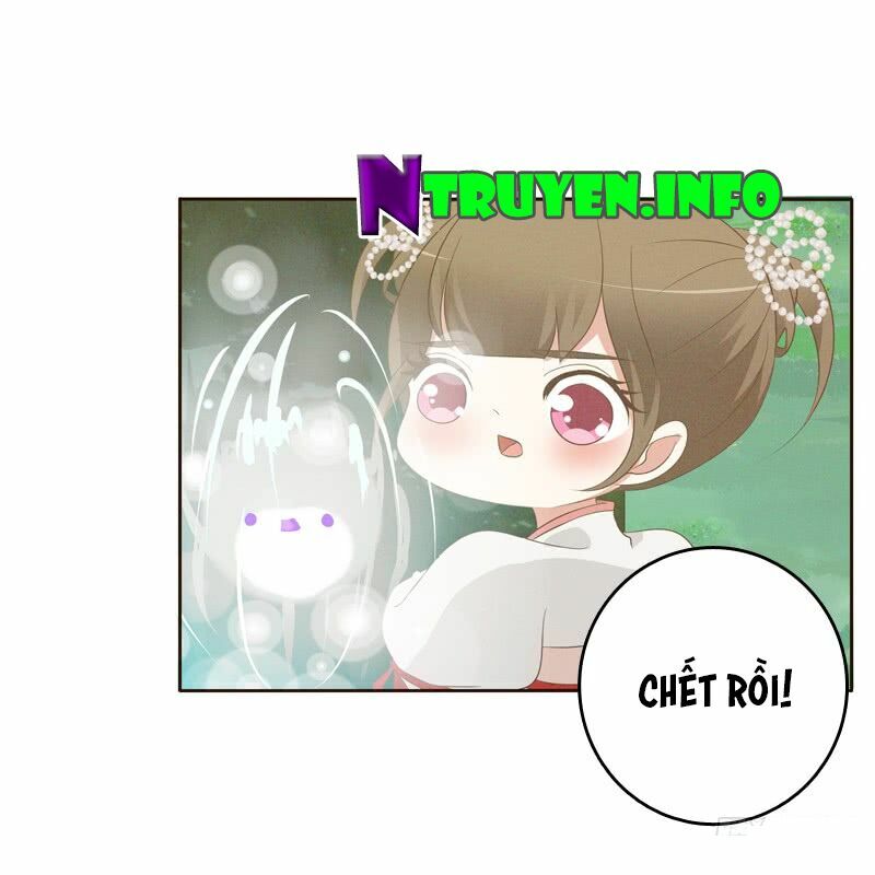 Thông Linh Phi: Chapter 169