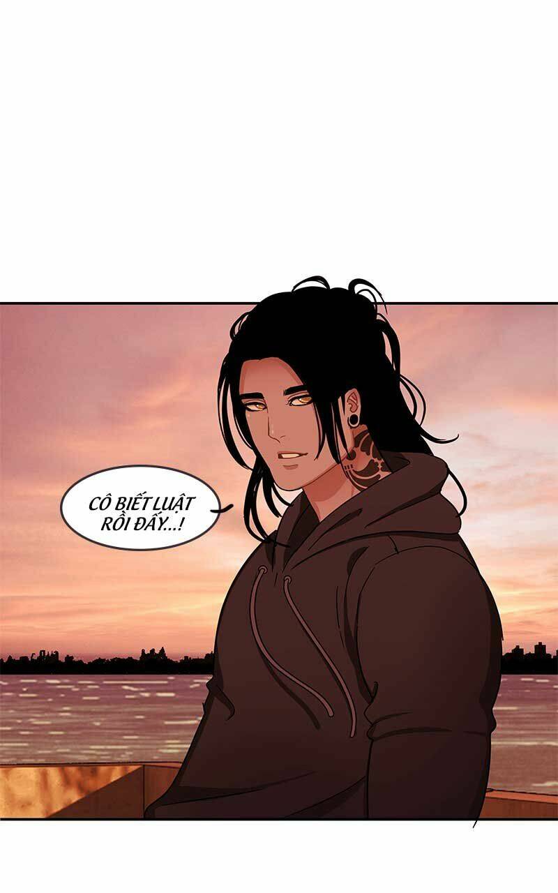 Nửa Đêm Ở Poppy Land: Chapter 35