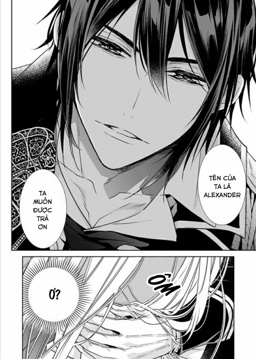 Royal Cinderella Mama: Chapter 2