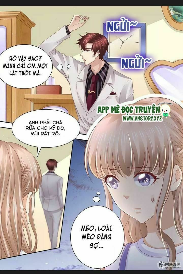 Cưng Chiều Vợ Yêu: Chapter 73: Chuyện cũ về mèo
