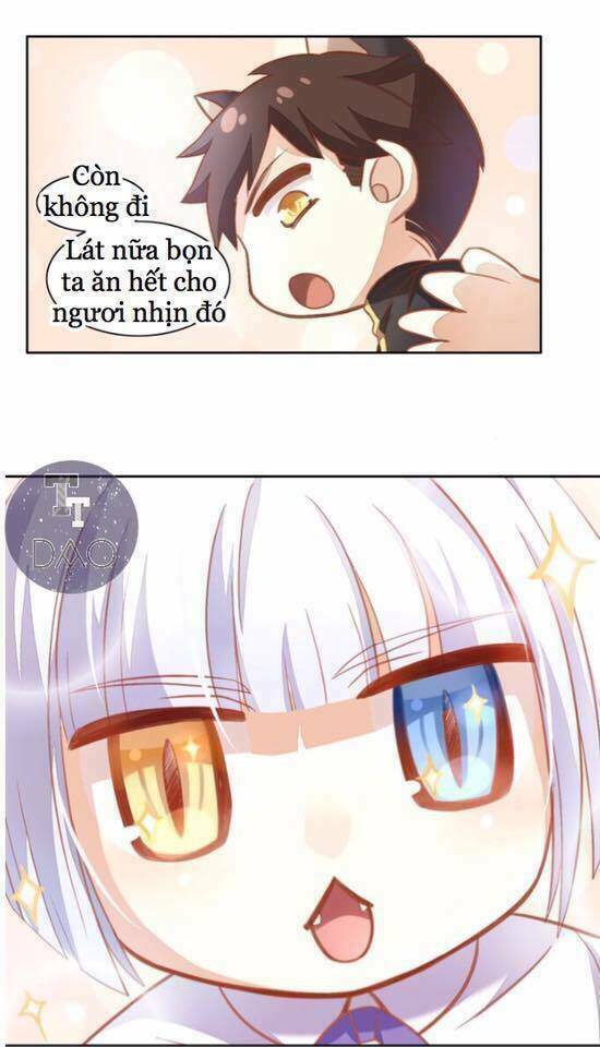 Dưới Móng Vuốt Mèo: Chapter 4