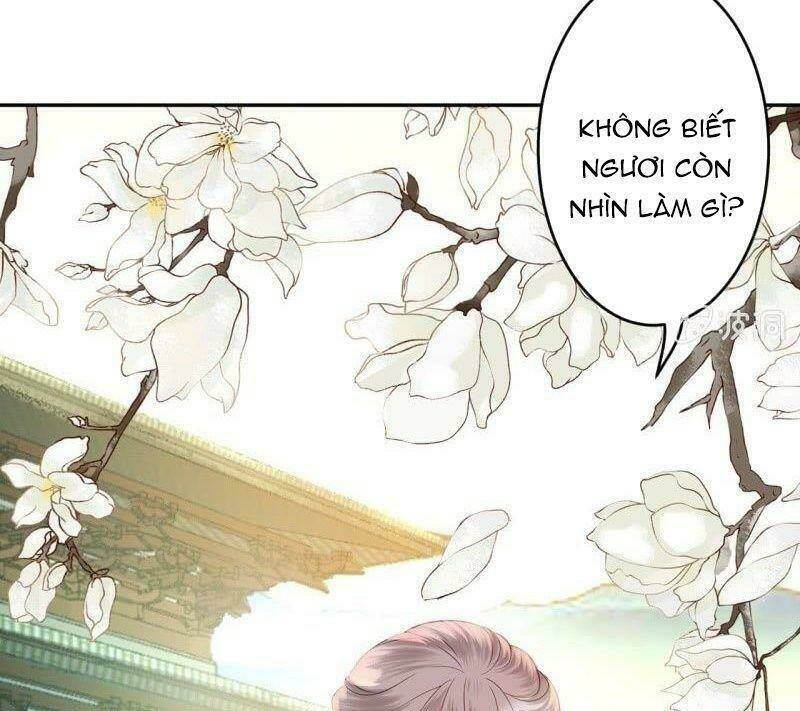 Vương Gia Kiêu Ngạo Quá Khó Cua: Chapter 39