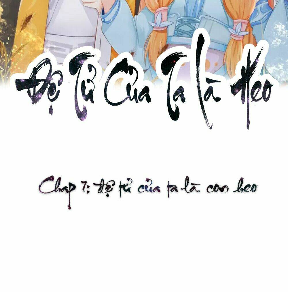 Đệ Tử Của Ta Là Heo: Chapter 7