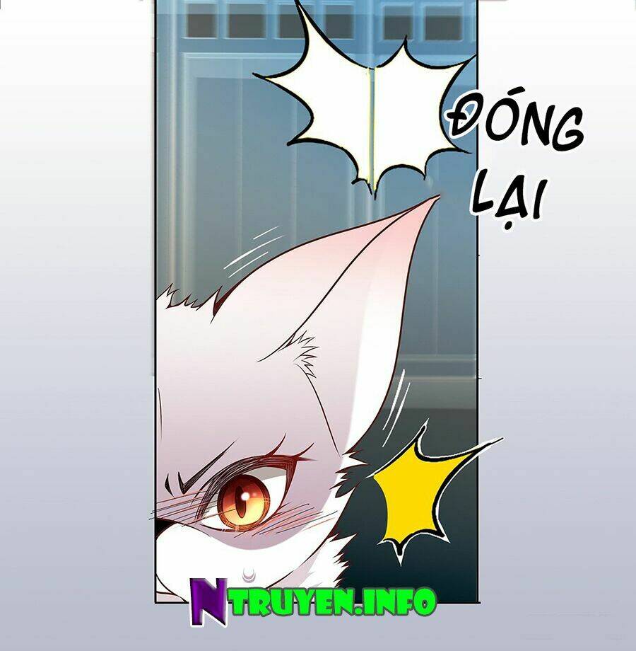 Vương Phi Thật Uy Vũ: Chapter 20.1