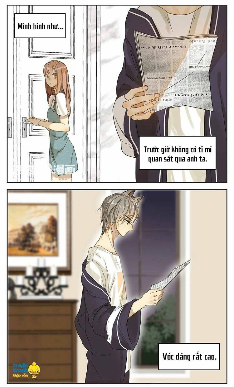 Cứu Mạng! Loài Mèo Thống Trị Thế Giới Rồi!: Chapter 13