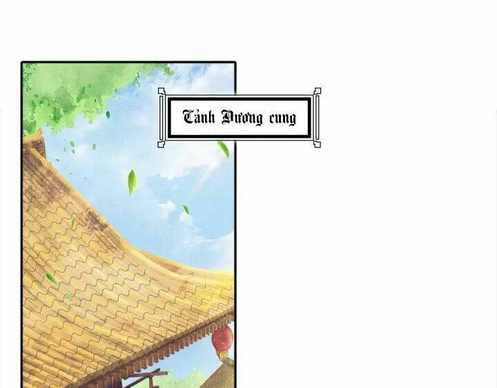 Thịnh Sủng Y Phi Chi Dao Quan Truyện: Chapter 95