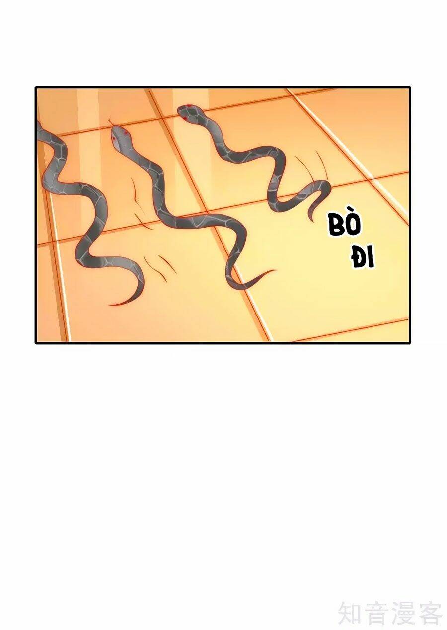 Sủng Hậu Của Vương: Chapter 35