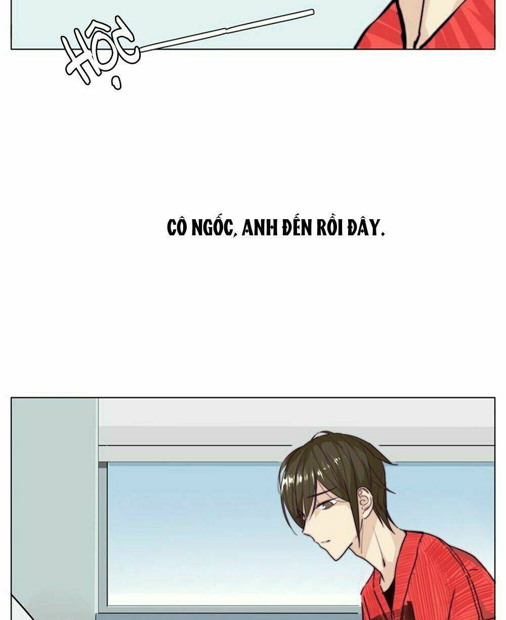 Tình Yêu Chớp Nhoáng: Chapter 51