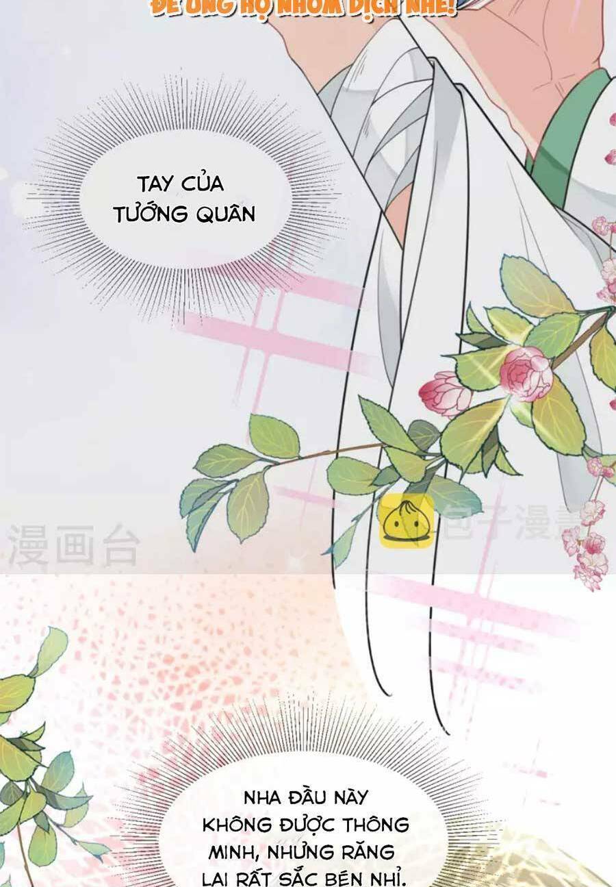 Tướng Quân, Bổn Phi Không Nhận Sủng: Chapter 48