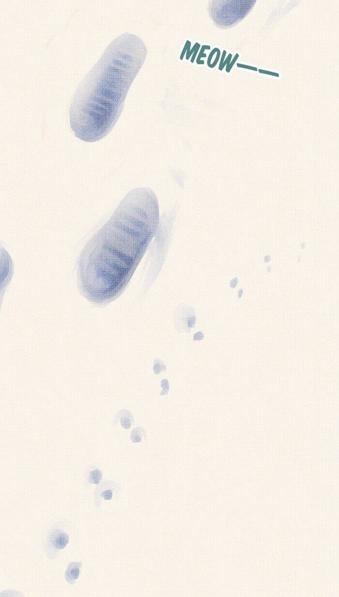 Little Rain: Chapter 12.5