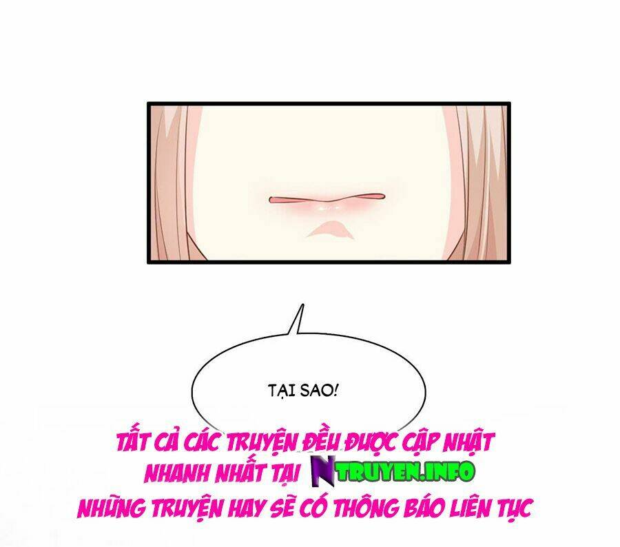 Tư Sủng Cục Cưng Bảo Bối: Chapter 1