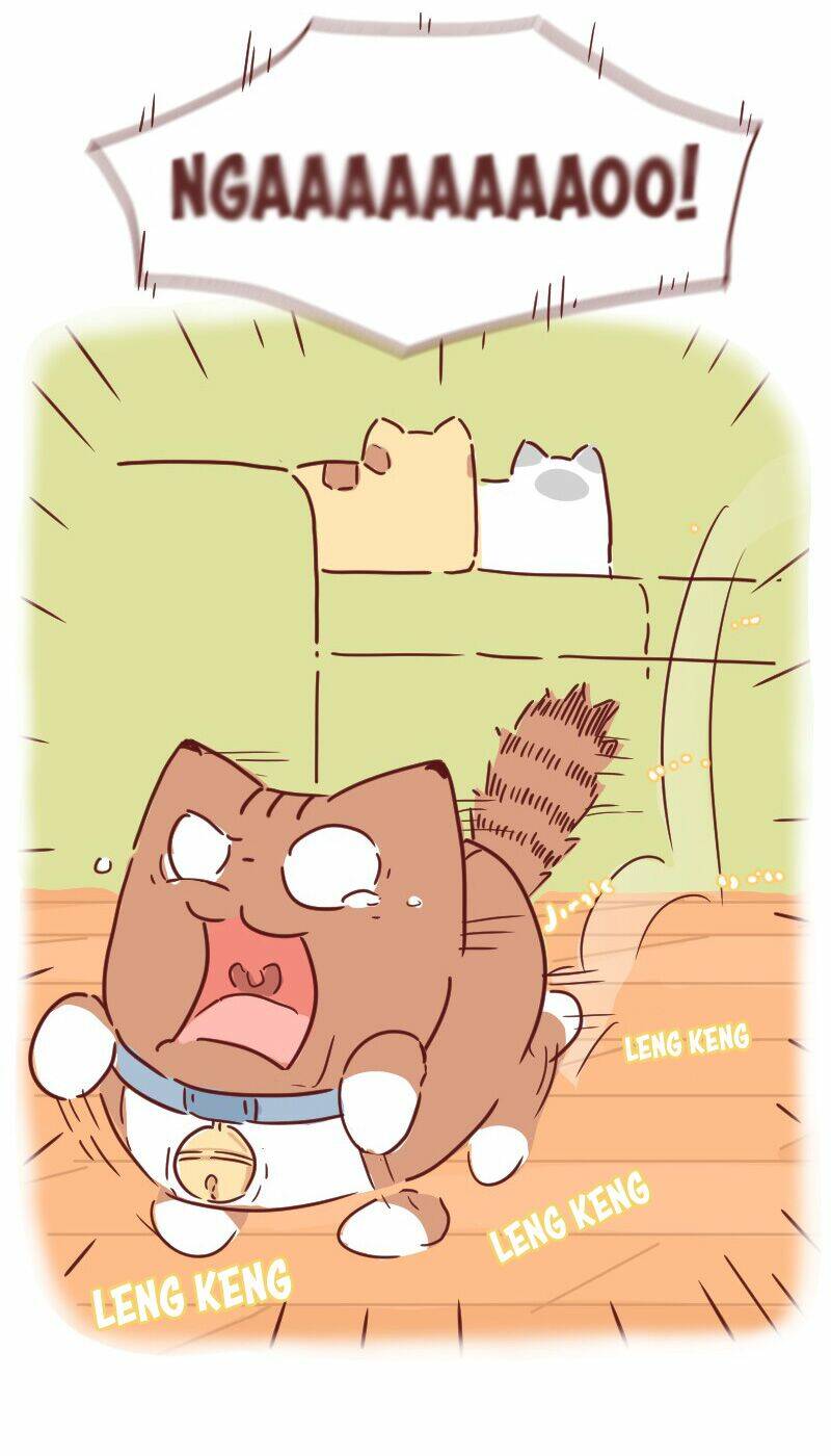 Saphie: Chú mèo một mắt: Chapter 28