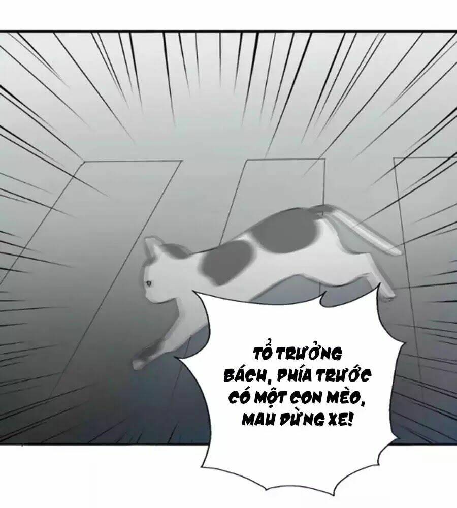 Mùi Hương Lãng Mạn: Chapter 36