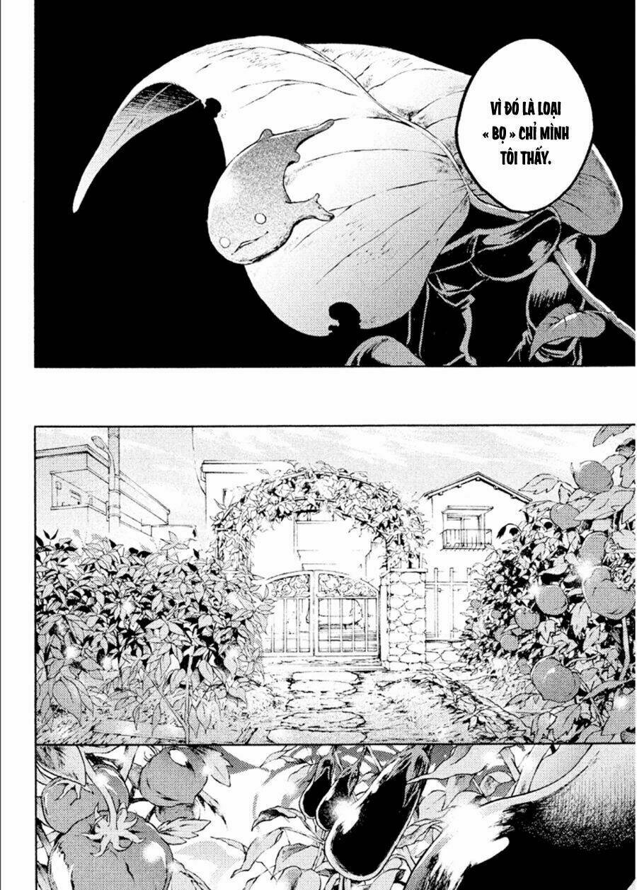 Livingstone: Chapter 16