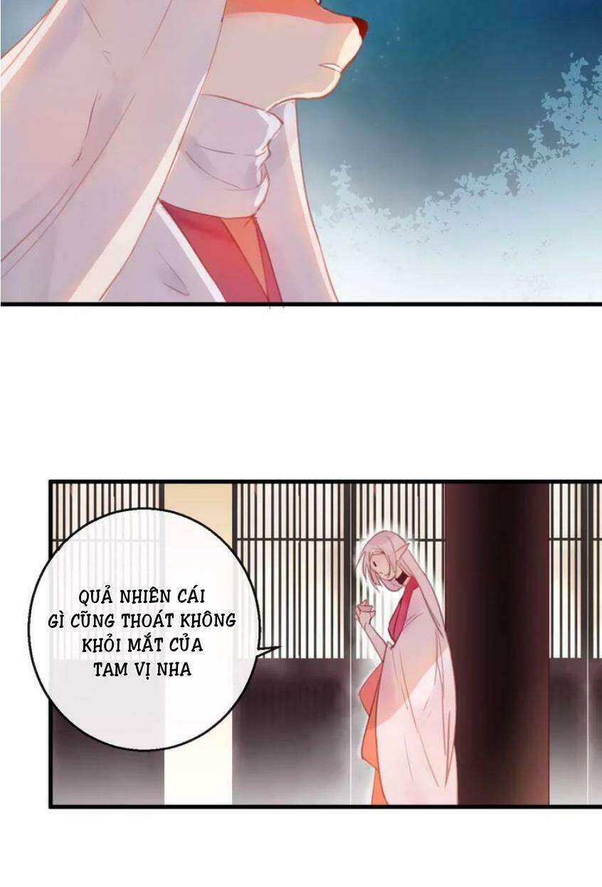 Hồ Minh Chi Hương: Chapter 4