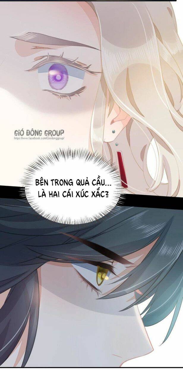 Trở Lại Trước Bình Minh: Chapter 5