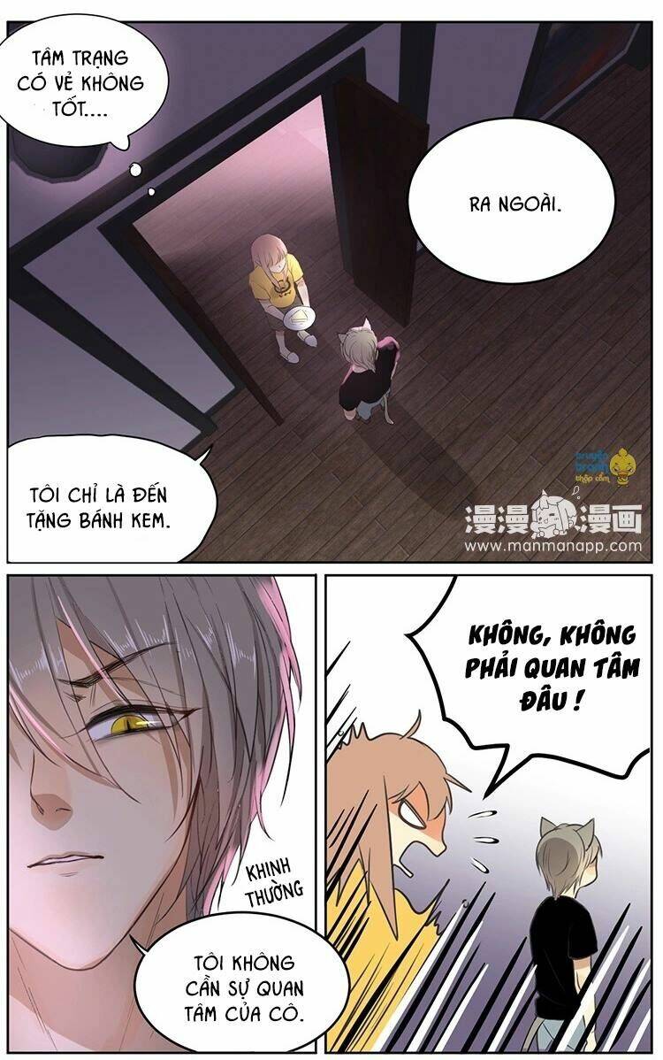 Cứu Mạng! Loài Mèo Thống Trị Thế Giới Rồi!: Chapter 10
