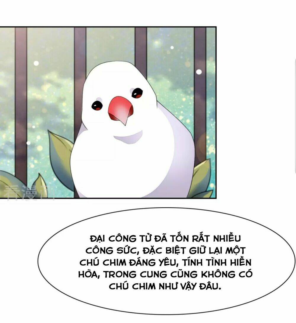 Xuyên Về Cổ Đại Làm Quốc Bảo: Chapter 48