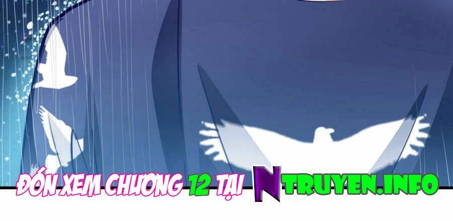 Tôi Bị Gấu Trúc Nhìn Trúng Rồi: Chapter 11