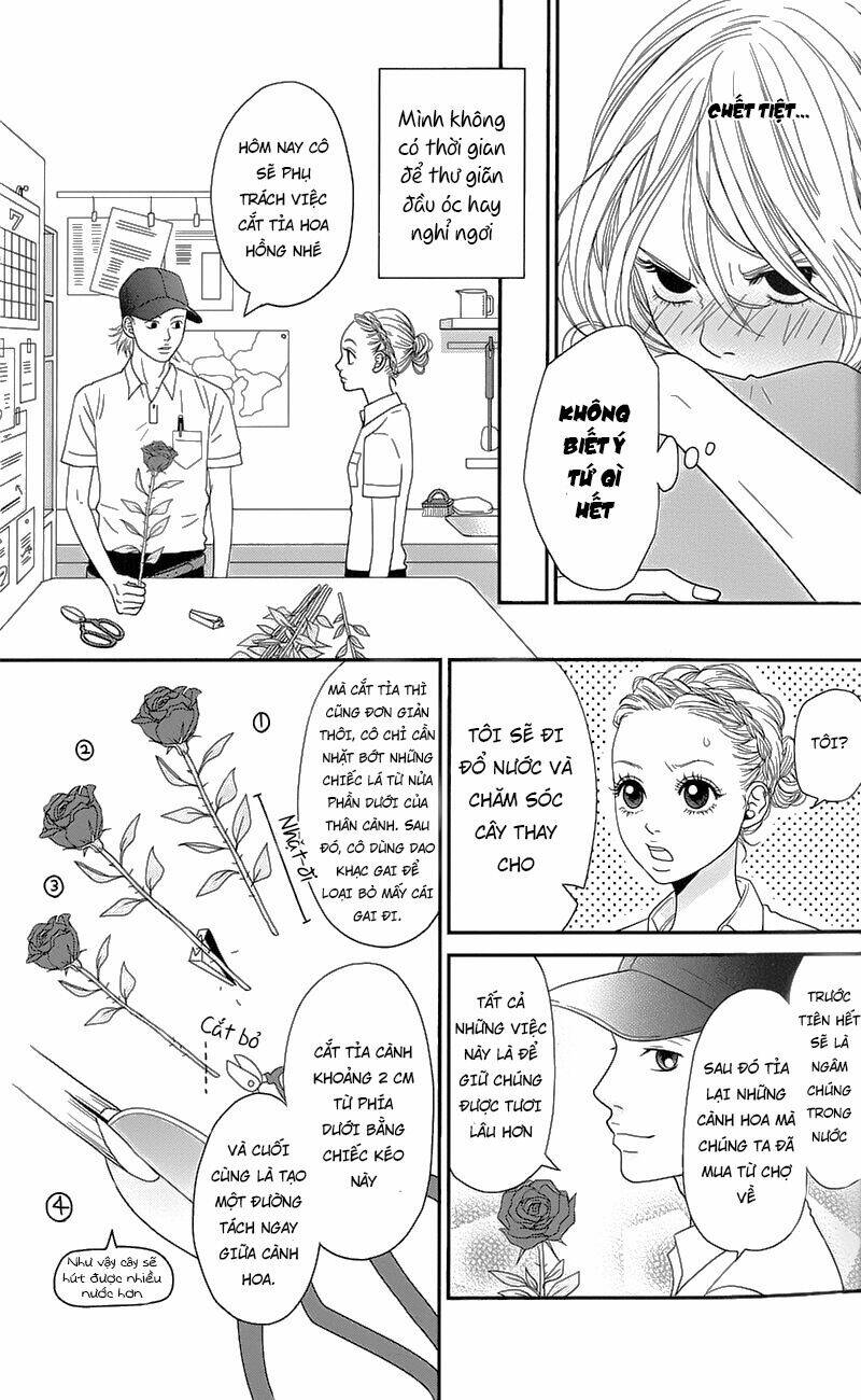 Đóa Hoa Năm Ấy: Chapter 1