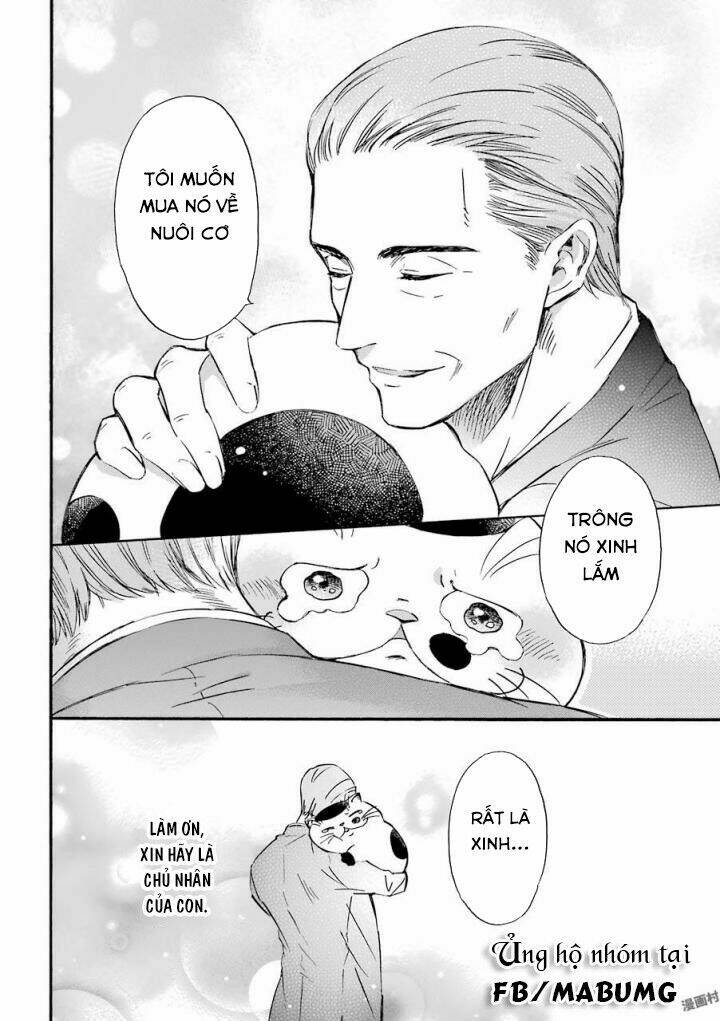 Ông Chú Và Con Mèo Mặt Bựa: Chapter 1