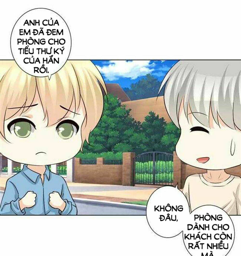 Tổng Tài Bá Đạo Là Gay: Chapter 65