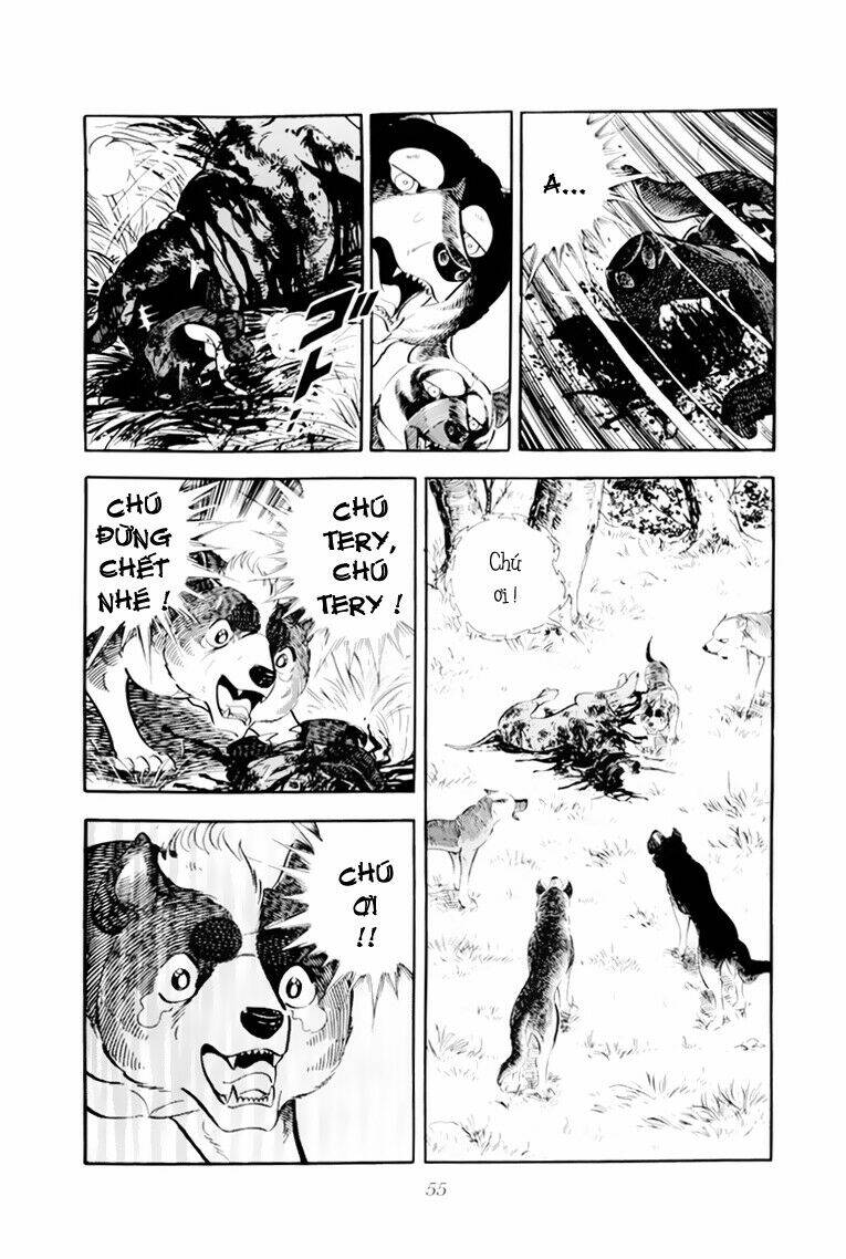 Chú Chó Có Nghĩa - Ginga Nagareboshi Gin: Chapter 32.1