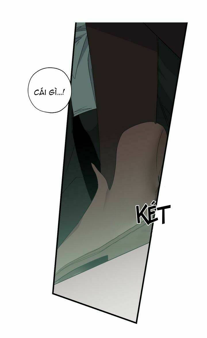 Tình Điên Dại: Chapter 71