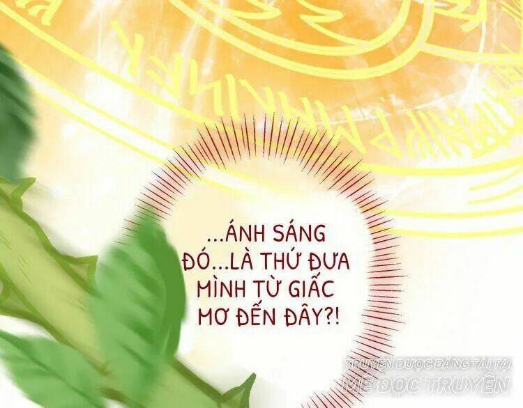 Thuần Trắng Vận Mệnh Chi Luân: Chapter 4