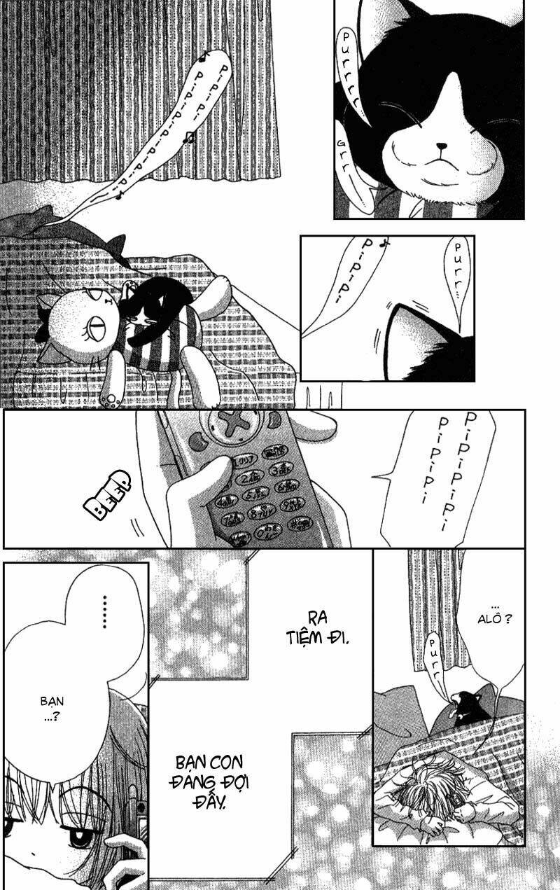 Dự Án Kéo Vàng: Chapter 6