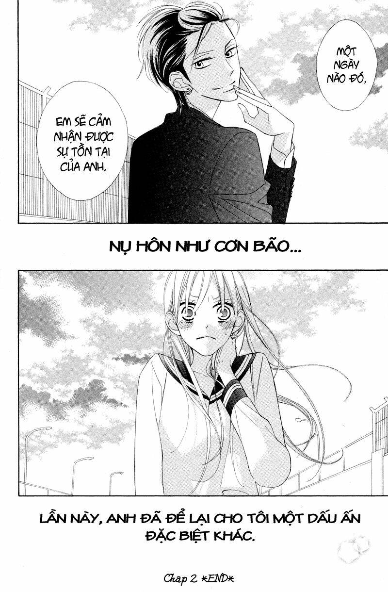 Hoa Trong Bão: Chapter 2