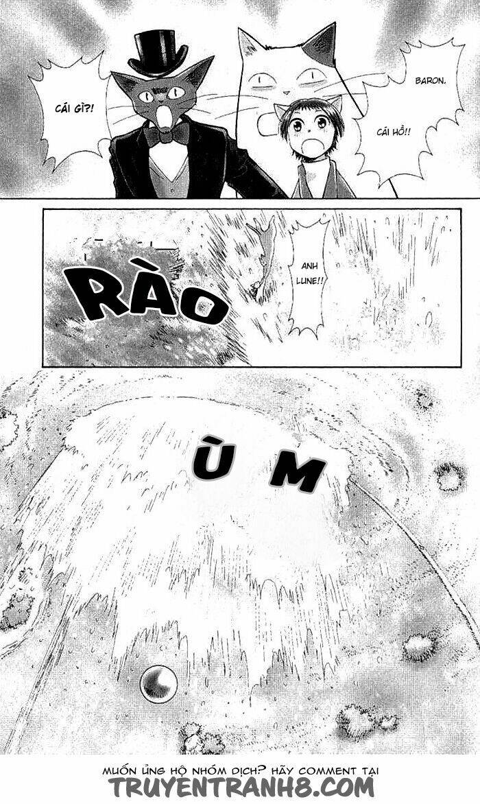 Lời Thì Thầm Từ Trái Tim: Chapter 9