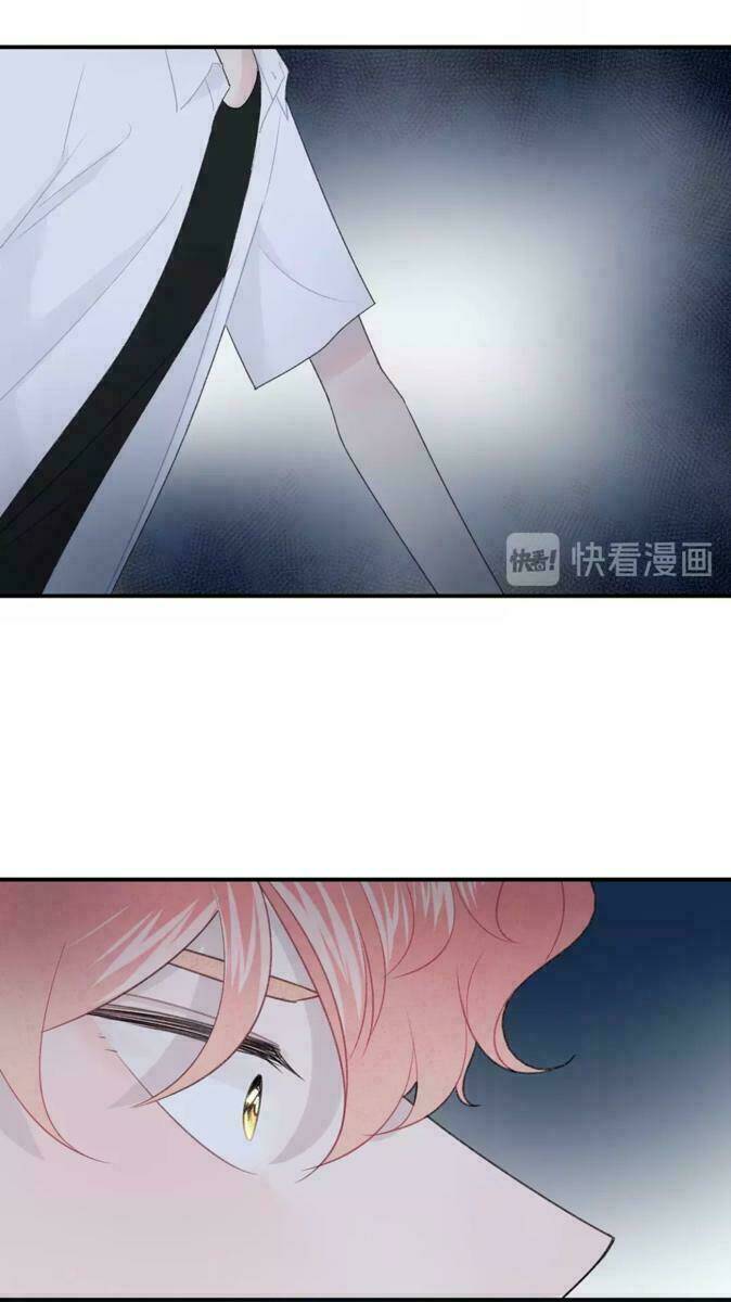 Từ Cái Nhìn Của Em: Chapter 24