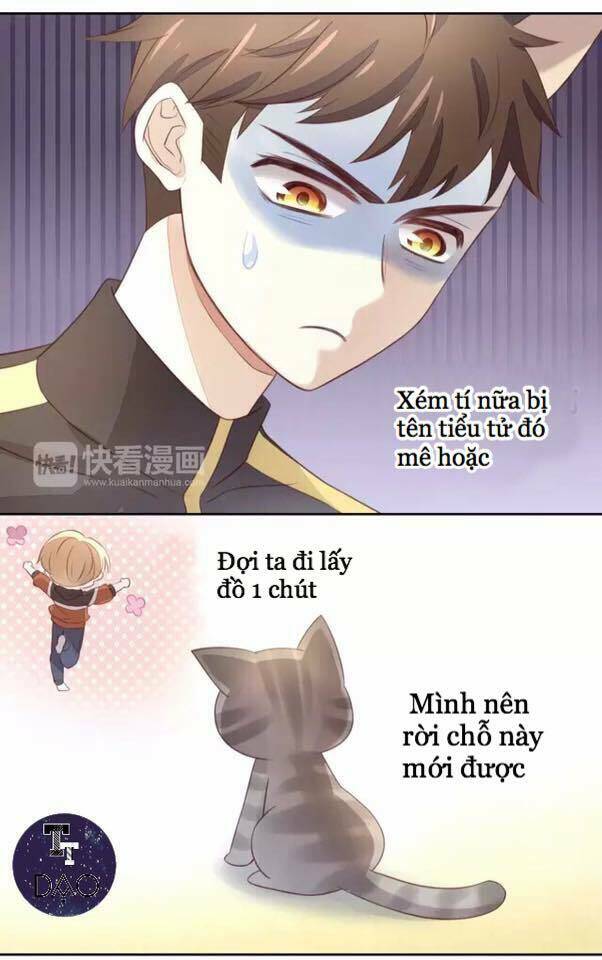 Dưới Móng Vuốt Mèo: Chapter 20