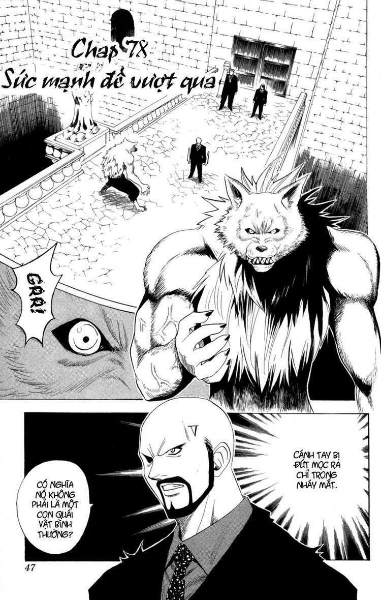 Sát Thủ Mèo Đen: Chapter 78