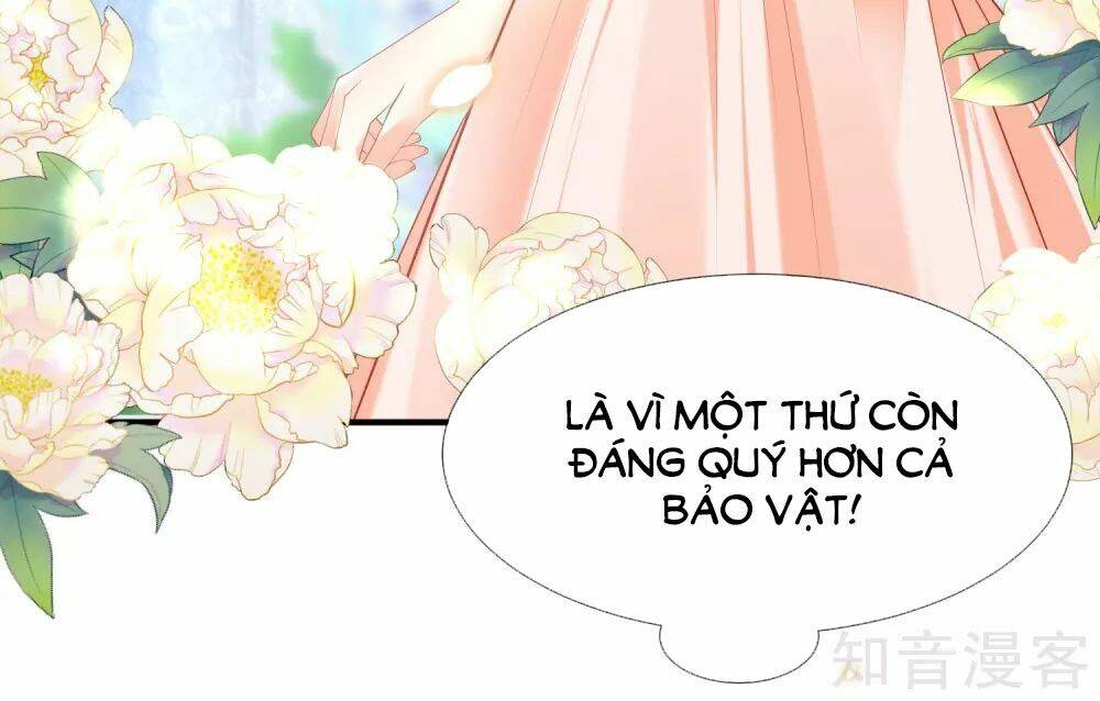 Sủng Hậu Của Vương: Chapter 51
