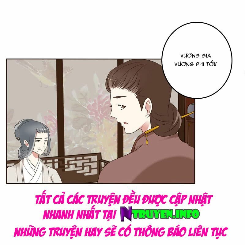 Thông Linh Phi: Chapter 215.5