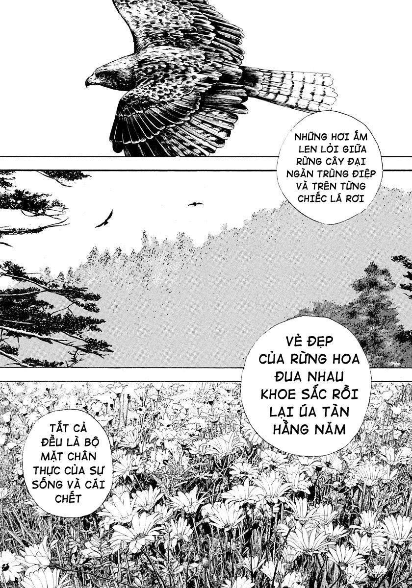 Tough - Miyazawa Kiichi: Chapter 402