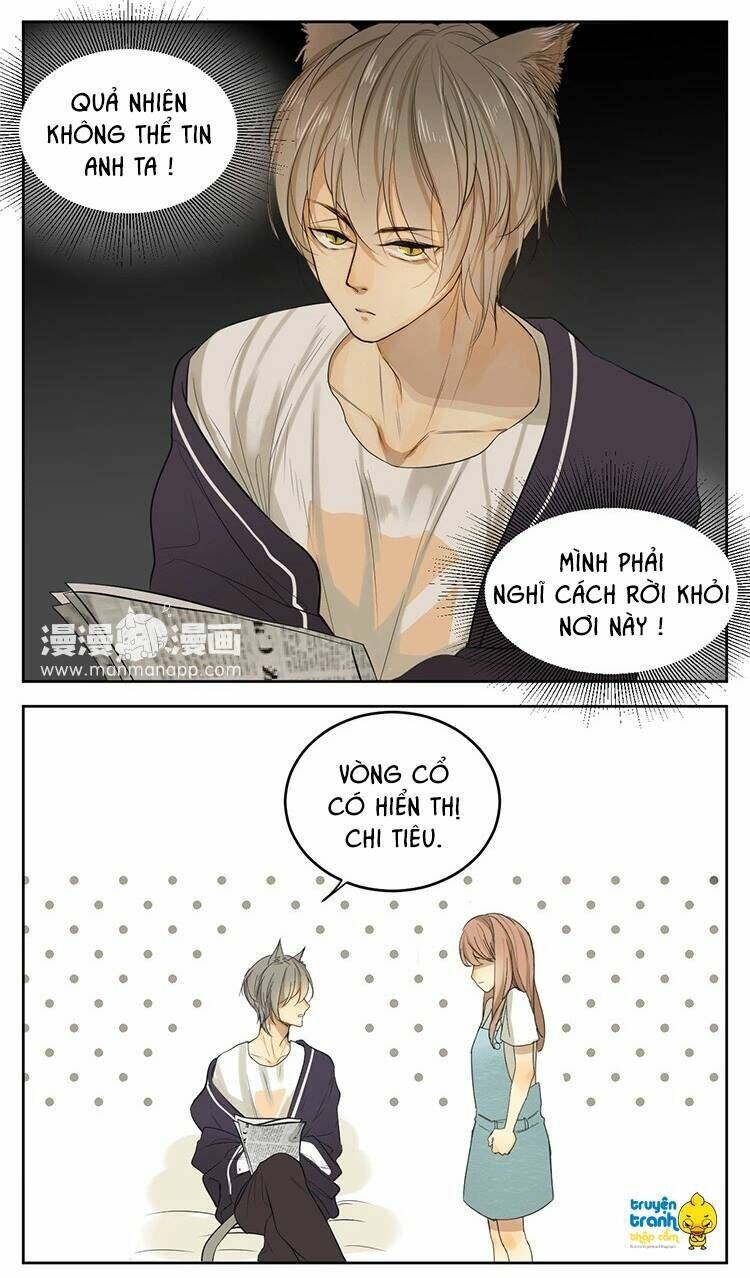 Cứu Mạng! Loài Mèo Thống Trị Thế Giới Rồi!: Chapter 13