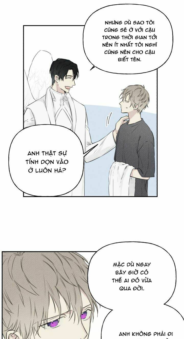 Angel Buddy: Chapter 4