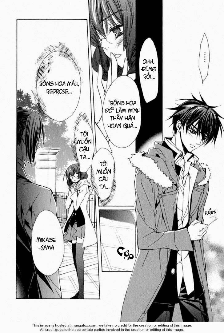 Nụ Hôn Của Công Chúa Tường Vi: Chapter 19